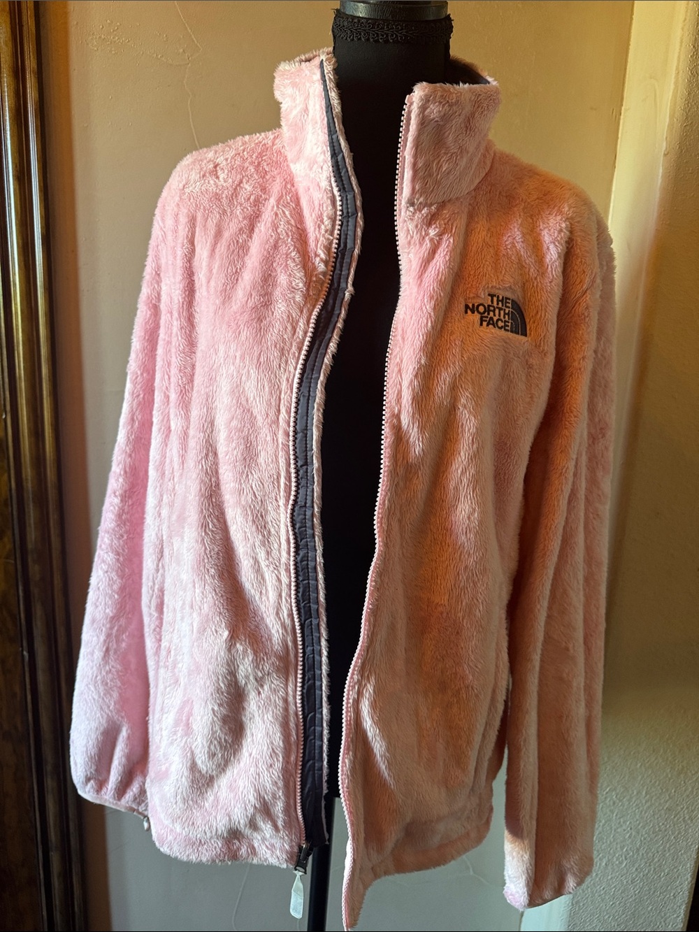 The North Face Women's Soft Pink Plush Full-Zip Teddy Jacket